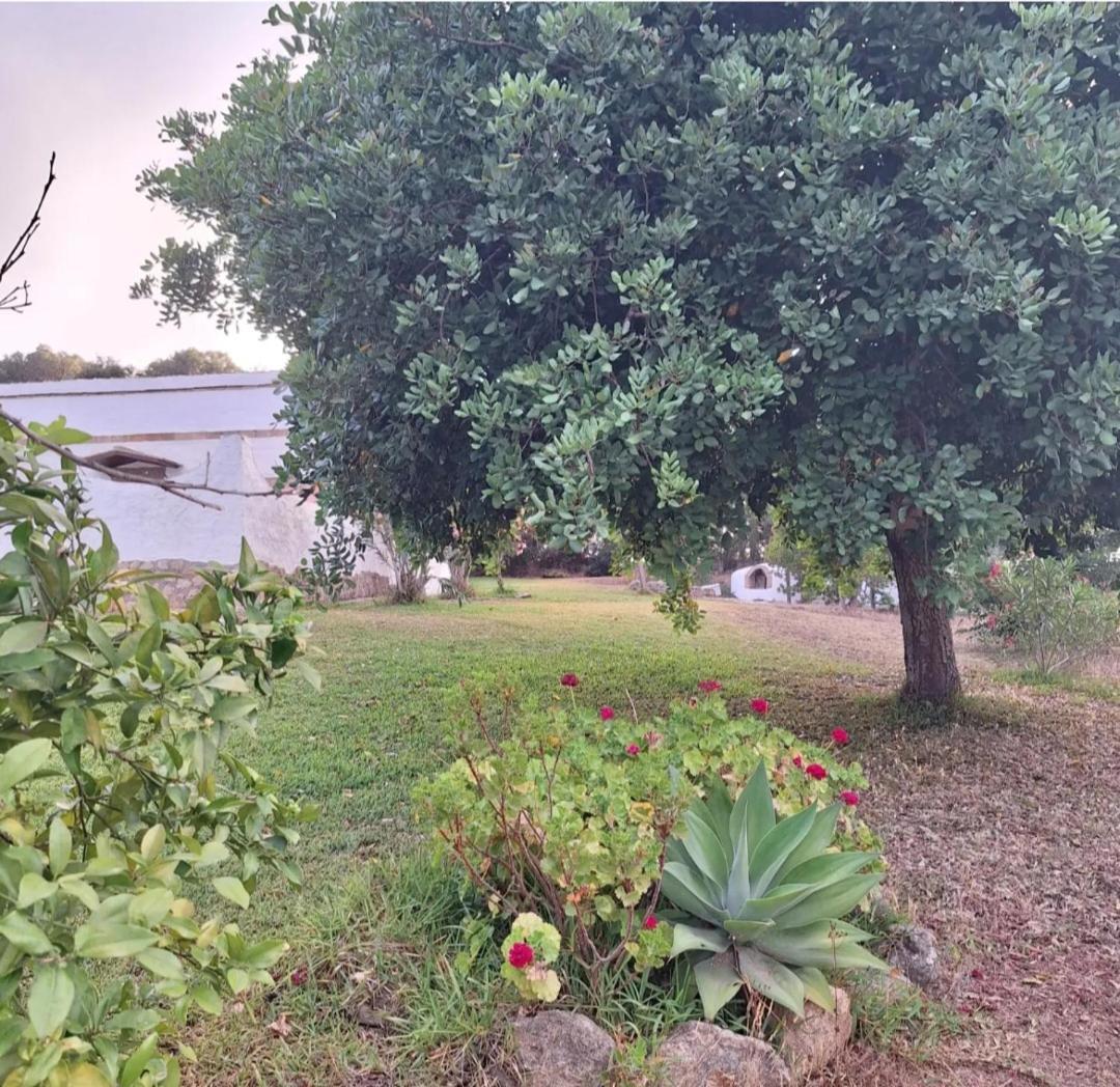 Casa Rural El Nino Santamaria , Con Piscina Y Wifi Vejer de la Frontera Εξωτερικό φωτογραφία