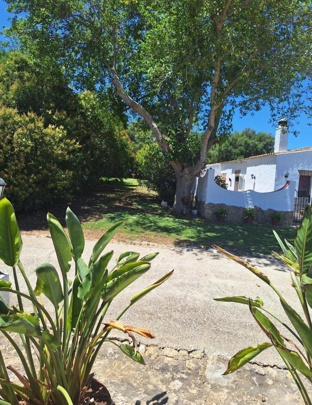 Casa Rural El Nino Santamaria , Con Piscina Y Wifi Vejer de la Frontera Εξωτερικό φωτογραφία